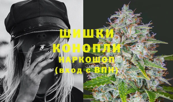 сатива Аша